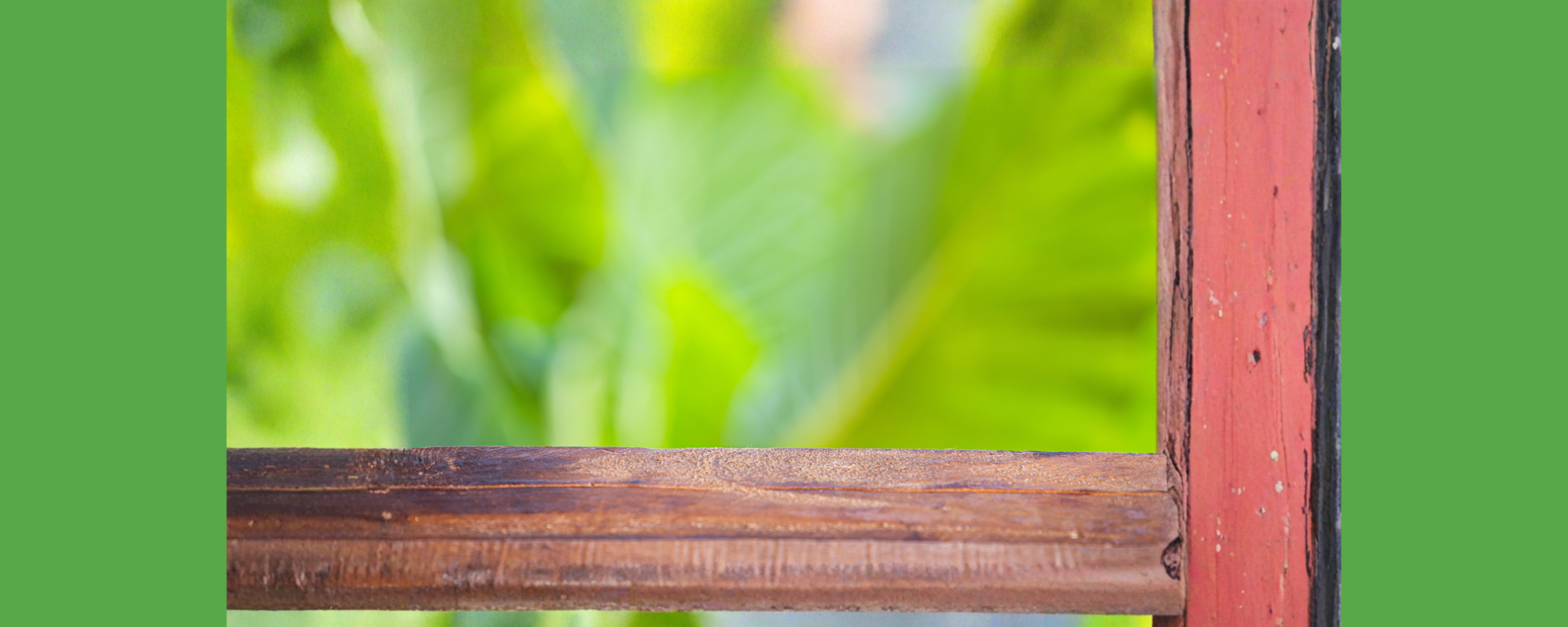 Goals& objectives (1)